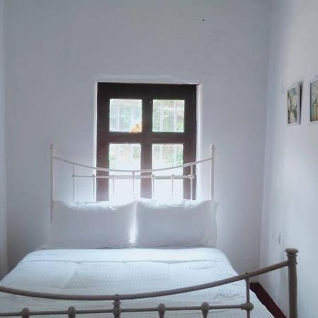 A Quaint Cottage With Rajah'S Seat View. ماديكيري المظهر الخارجي الصورة