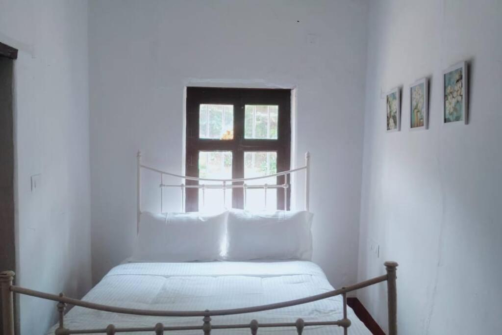 A Quaint Cottage With Rajah'S Seat View. ماديكيري المظهر الخارجي الصورة