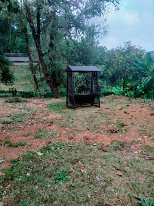 A Quaint Cottage With Rajah'S Seat View. ماديكيري المظهر الخارجي الصورة